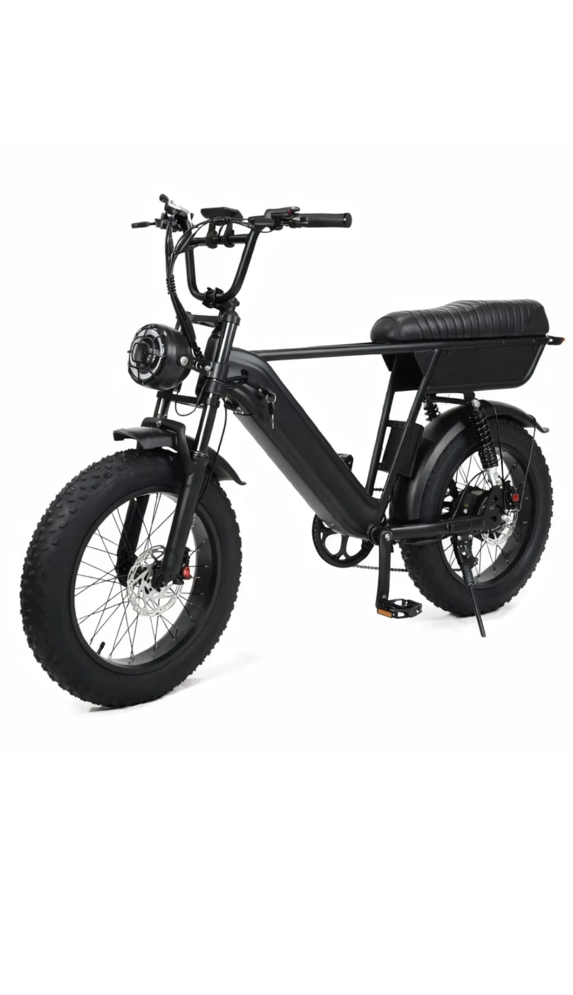 Yangor Y20 Plus